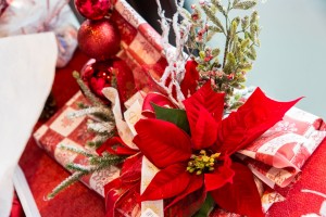 pasticceria-frignani-idee-regali-natale-2016-ferrara-041